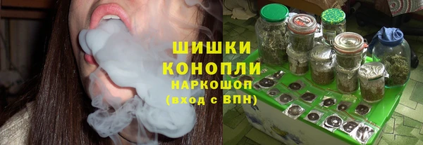 крисы Козельск