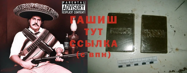 крисы Козельск