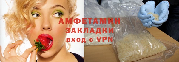 крисы Козельск
