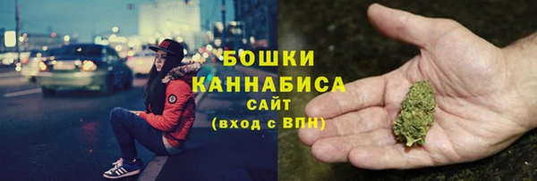 крисы Козловка