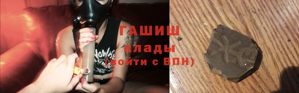 гашик Коряжма