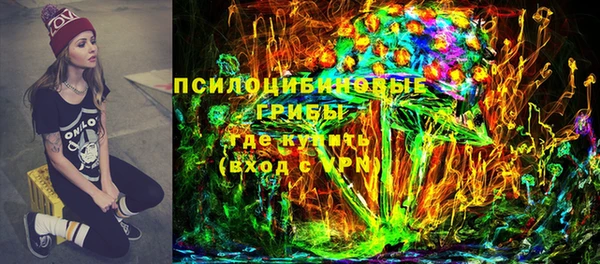 крисы Козловка