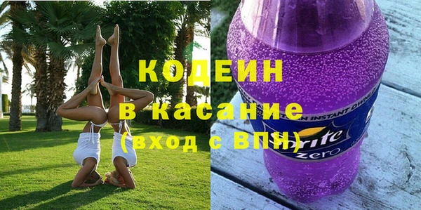 крисы Козельск