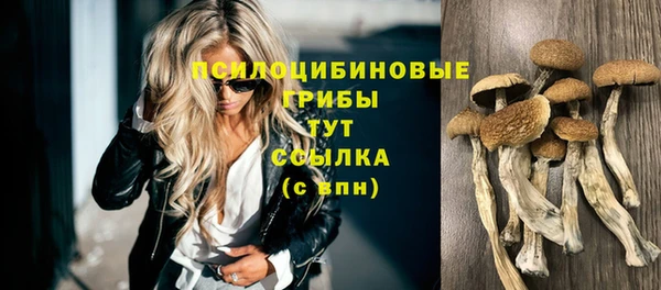 крисы Козловка